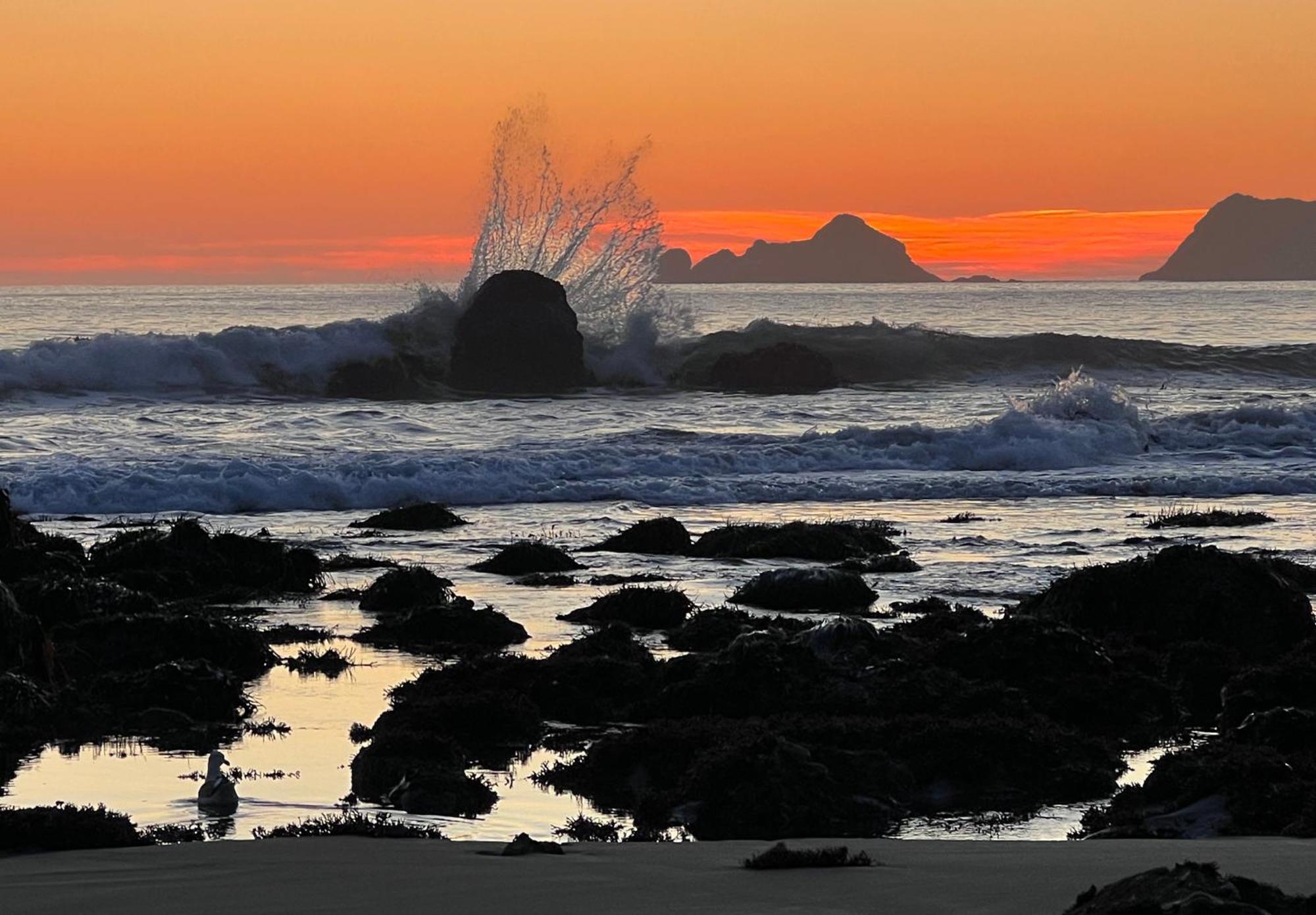 The Cove At Port Orford - 5 Ocean Front Suites Luaran gambar