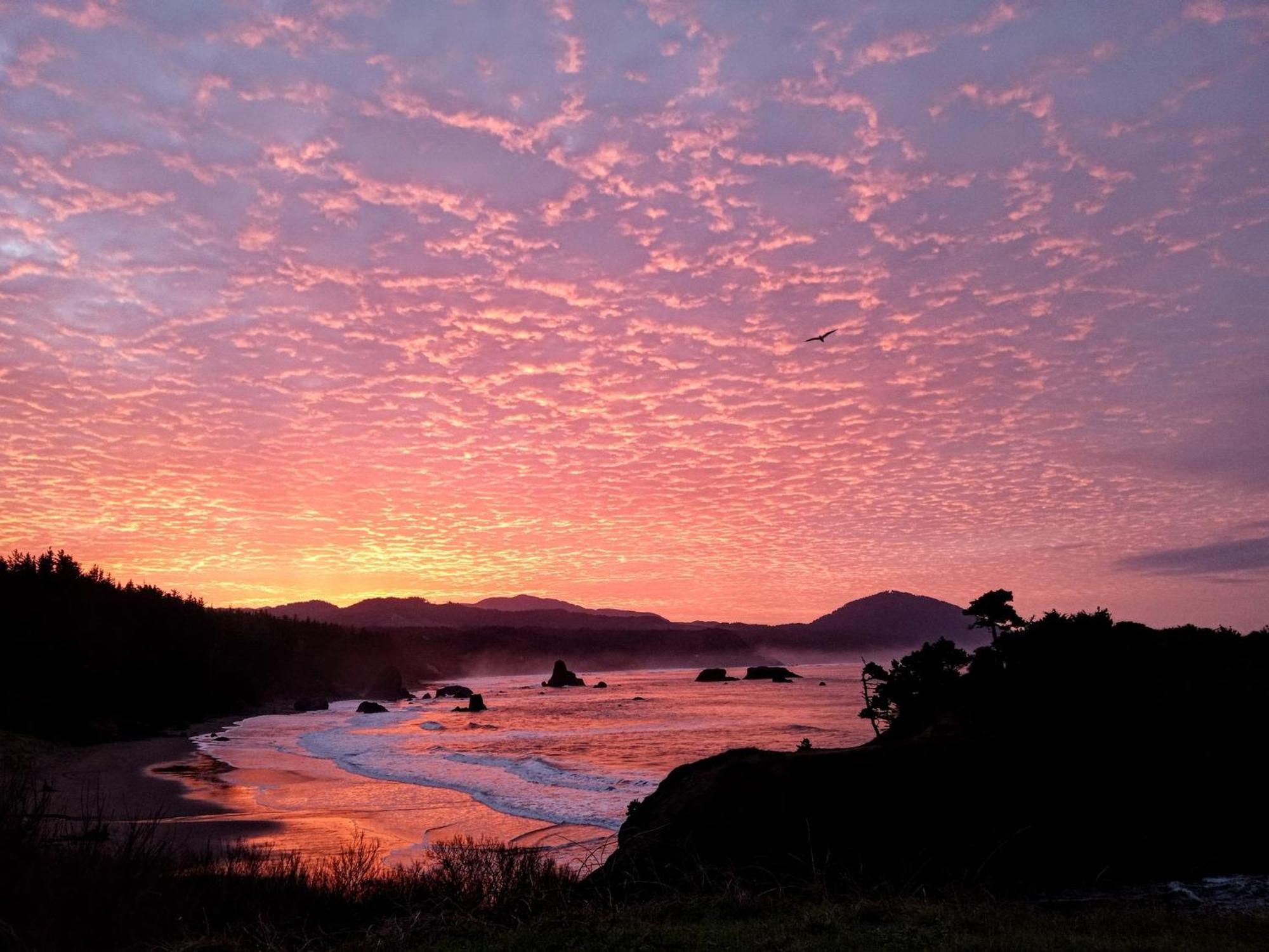 The Cove At Port Orford - 5 Ocean Front Suites Luaran gambar